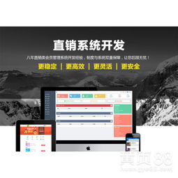 山东直销管理软件公司 引领企业数字化转型的软件开发专家