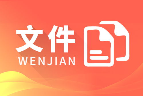 MACSV DCS 翻译型仿真软件开发 山东软件开发团队的技术实践