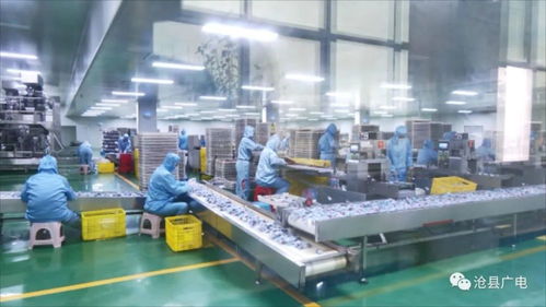 沧县农产品加工业数字化转型研讨会暨山东软件开发合作对接会